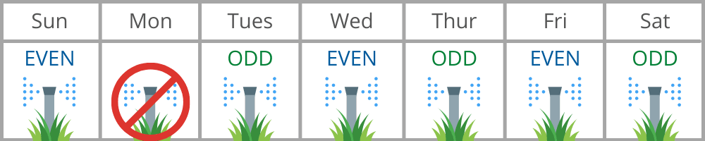 Watering Schedule